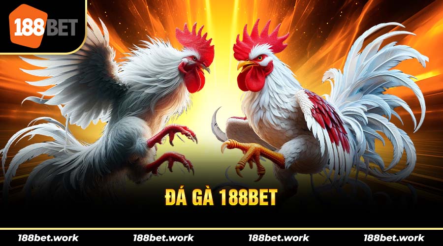 Tìm hiểu về sảnh đá gà 188bet nổi tiếng