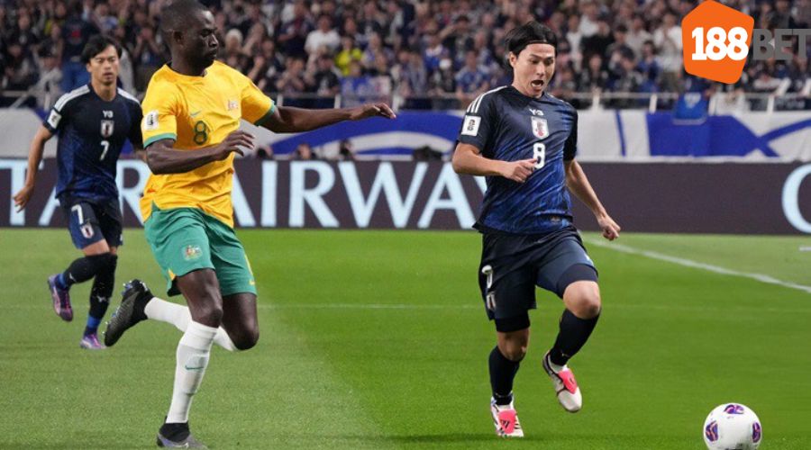 Soi kèo tỷ lệ Australia và Nhật Bản tại vòng loại thứ 3 World Cup 2026 khu vực châu Á