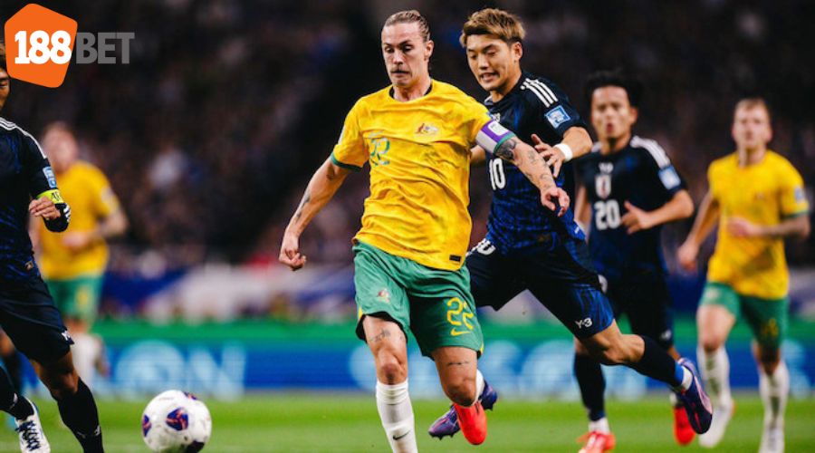 Thống kê trước trận đấu ĐT Australia vs Nhật Bản